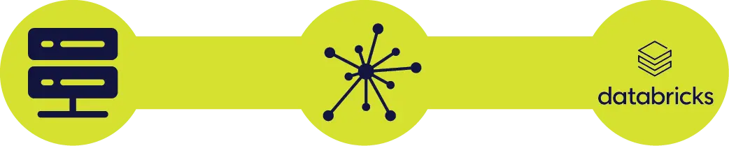 Stelo helps you connect data from Databricks